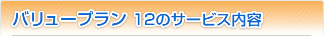 39プラン 12のサービス内容
